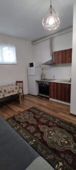 7 Noiembrie - Inchiriere apartament 1 camera - B-dul 22 Decembrie 1989 - Image 12