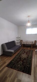 7 Noiembrie - Inchiriere apartament 1 camera - B-dul 22 Decembrie 1989 - Image 11