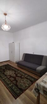 7 Noiembrie - Inchiriere apartament 1 camera - B-dul 22 Decembrie 1989 - Image 10