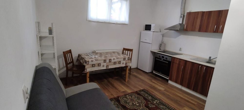 f0a2f1c59b96736d00e039ce8448963a 7 Noiembrie - Inchiriere apartament 1 camera - B-dul 22 Decembrie 1989 - Image 1